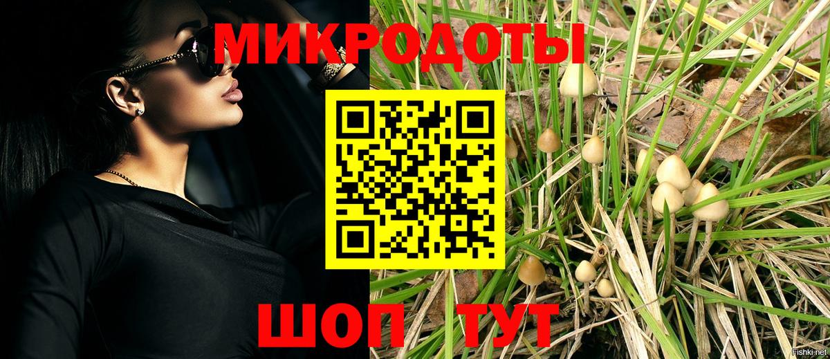 Галлюциногенные грибы Psilocybine cubensis Горячий Ключ